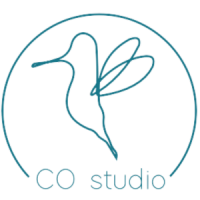 CO Sstudio Logo CO Sstudio Logo